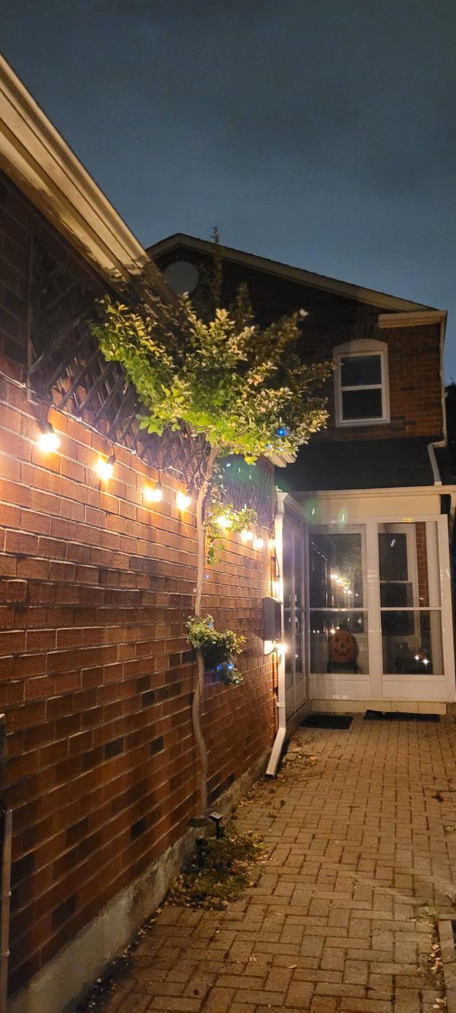 Mainfloor Spacious Room In Toronto Exterior foto